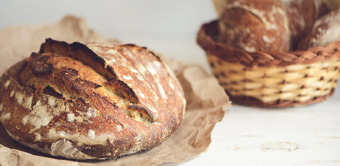 Recipe of Today: Artisan Bread